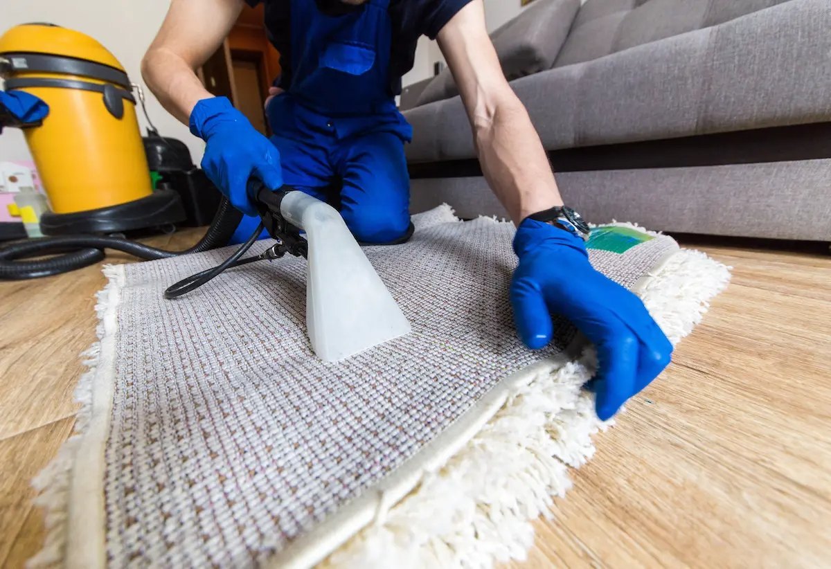 Carpet cleaning